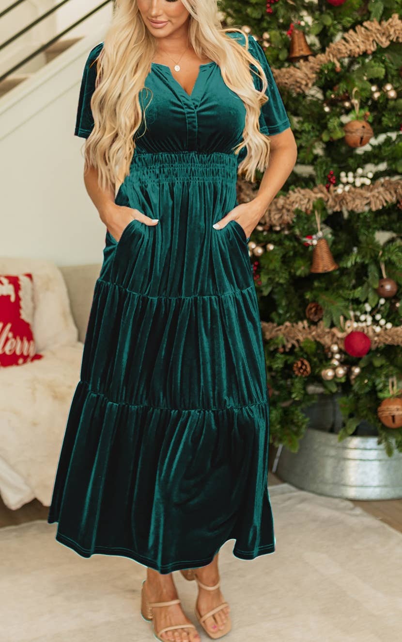 Everly Velvet Dress