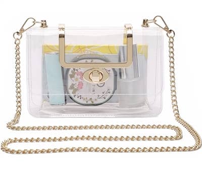 Classy Clear purse