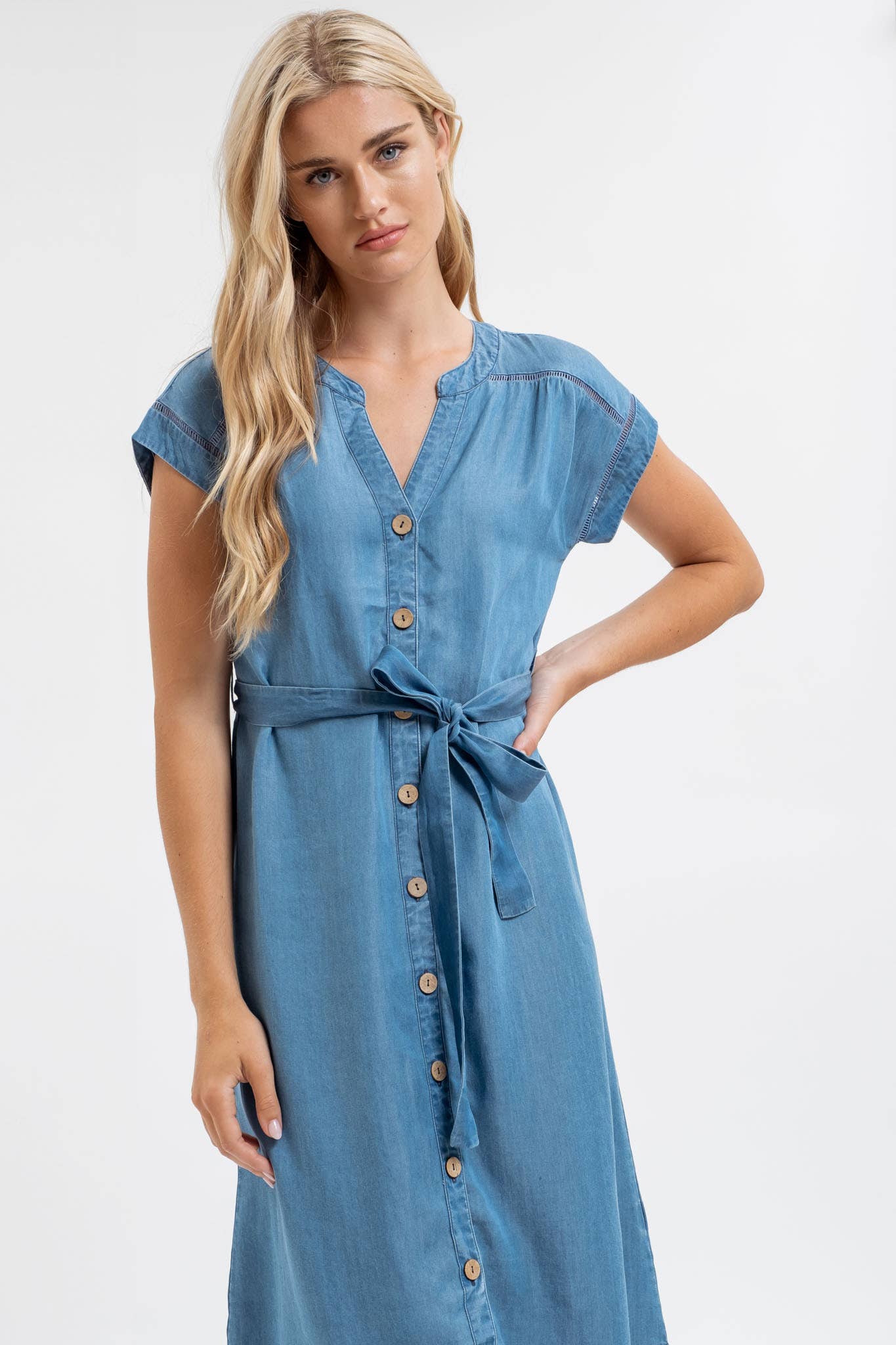 Dani Denim Dress