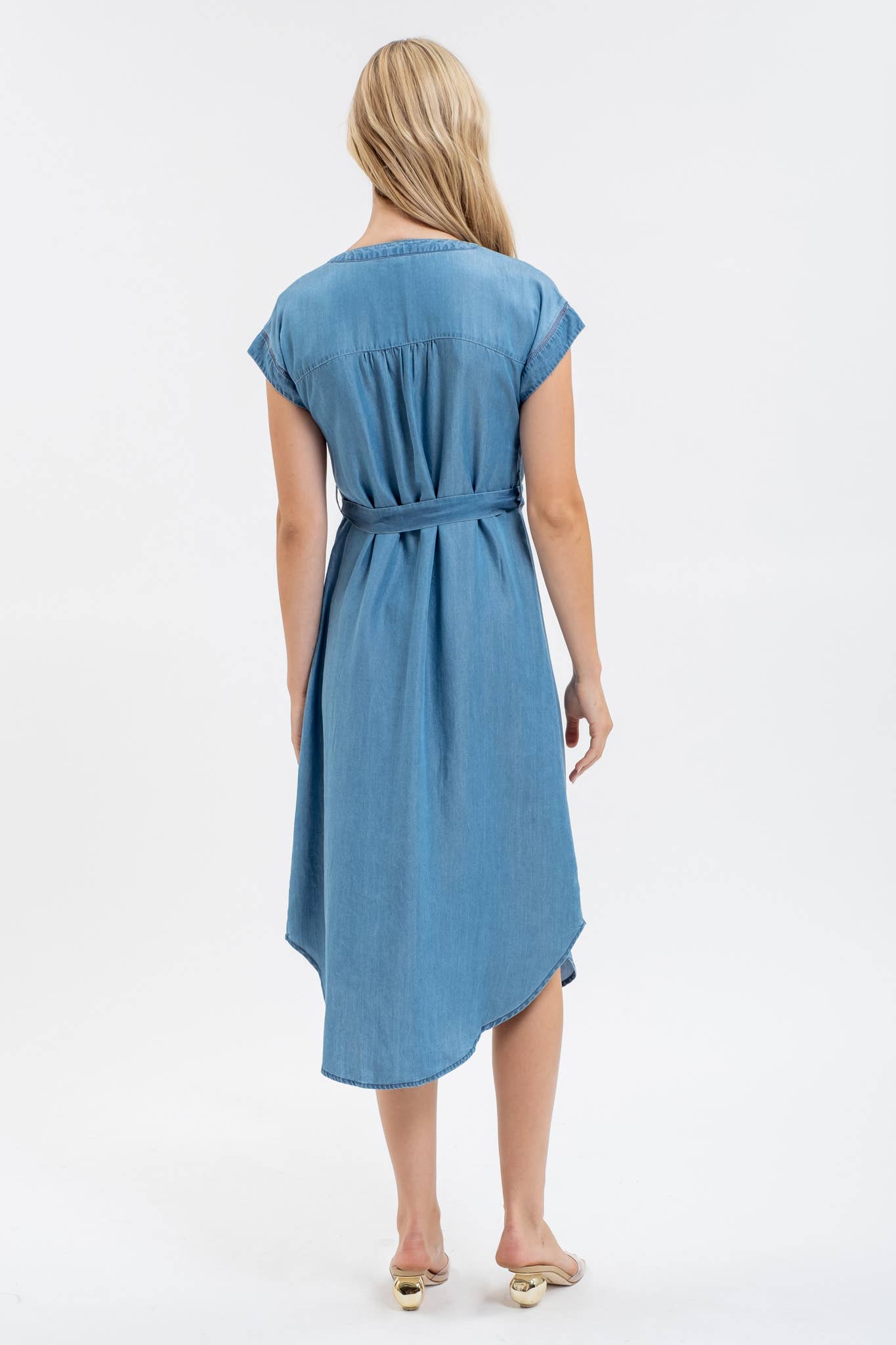 Dani Denim Dress