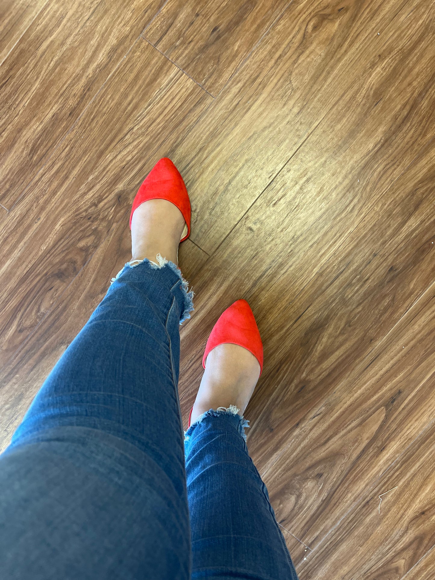 Vixen Red Flat rollasole